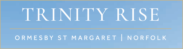 trinity-logo